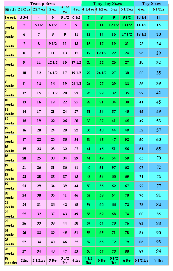 Size 10 Weight Chart